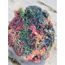 Load image into Gallery viewer, Herb To Body - Multi-Color Irish Sea Moss | Premium Quality St Lucia

