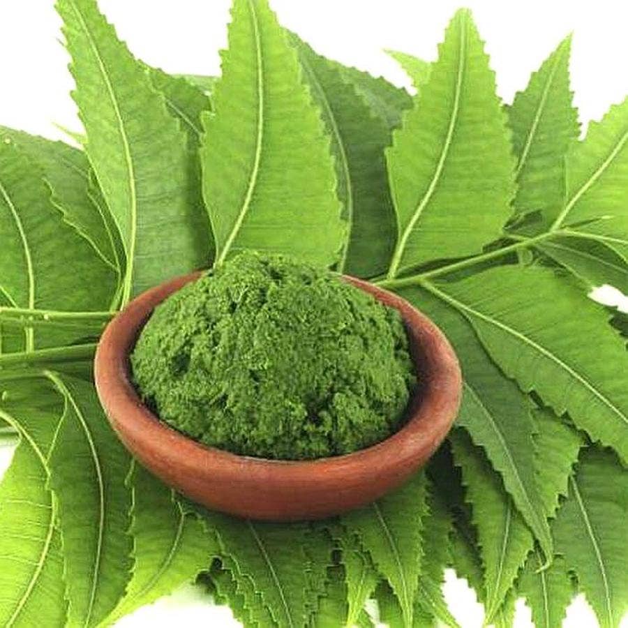 Neem Leaf Powder 4oz