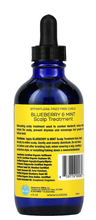 Load image into Gallery viewer, Curls Blueberry Bliss Hair and Scalp Oil Treatment 4 fl oz
