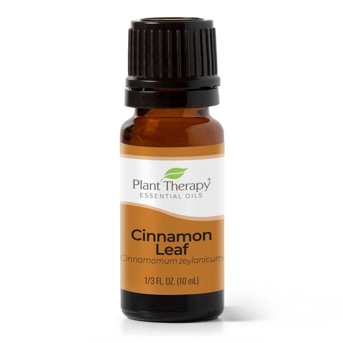 Cinnamon Leaf Essential Oil 10 mL